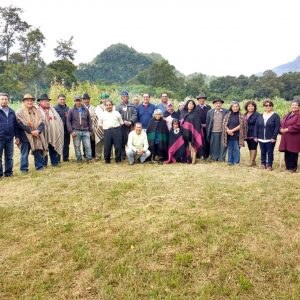 FORTALECIMIENTO AL CONSEJO DE LONGKO PIKUN WILLI MAPU