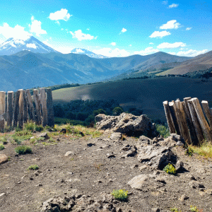 POTENCIANDO LA RUTA PEHUENCHE