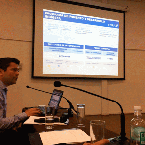 PROGRAMA DE DESARROLLO Y FOMENTO INDÍGENA ES PRESENTADO EN CONADI