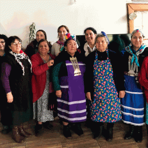 SE INICIA ETAPA DE APERTURA MULTICULTURAL DE COOPERATIVA DE TRABAJO AGROTURISMO DE MUJERES MAPUCHE DE NAHUELBUTA