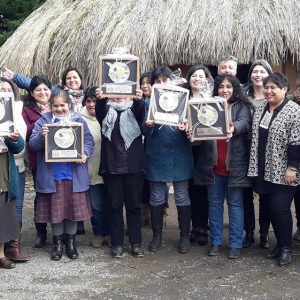 COOPERATIVA FOLIL ARAUCANÍA: CENTRO INTEGRAL DE DESARROLLO TURÍSTICO Y GASTRONÓMICO