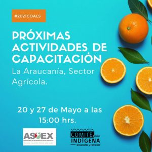 ASOEX Y EL COMITÉ DE DESARROLLO Y FOMENTO INDÍGENA DE CORFO CONCLUYEN PRIMER MÓDULO DE CAPACITACIÓN A PRODUCTORES Y AGRICULTORES INDÍGENAS DE LA ARAUCANÍA